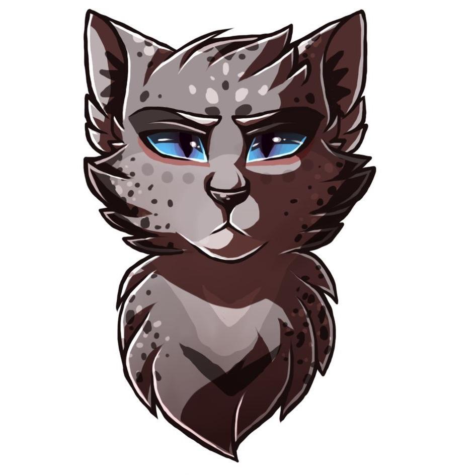 Long haired muscular gray tom with darker flecks and dark blue eyes. Gotten over Squirrelfuq (If found, please return to @BlindBae )