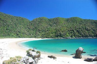 caleta_condor's profile picture. 