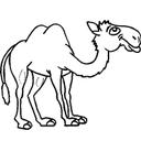 Andy Sunderland - @andycapp6666 - Twitter