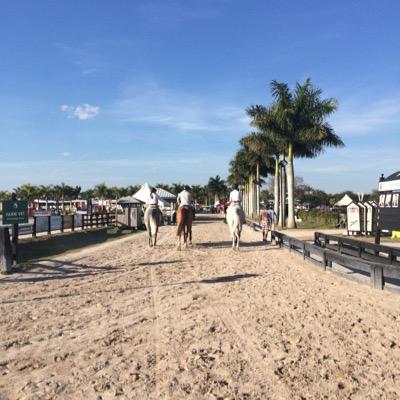 Just a girl trying to make it in the equestrian world.