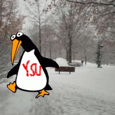 am yer fave YSU gwuin

*not affiliated with YSU*