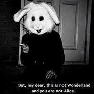 IAmUnhappiness's profile picture. Composer / Label owner / Music Lover