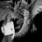 Rose_of_Dragons's profile image