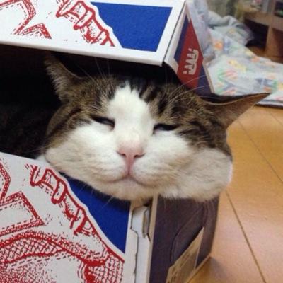 化学メーカー/有機合成/Ph.D. 色のついた化合物が好きです