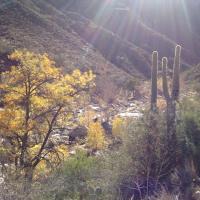 Doug Meyer (@nebgraddubdub) 's Twitter Profile Photo