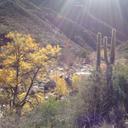 Doug Meyer - @NebGradDubDub - Twitter