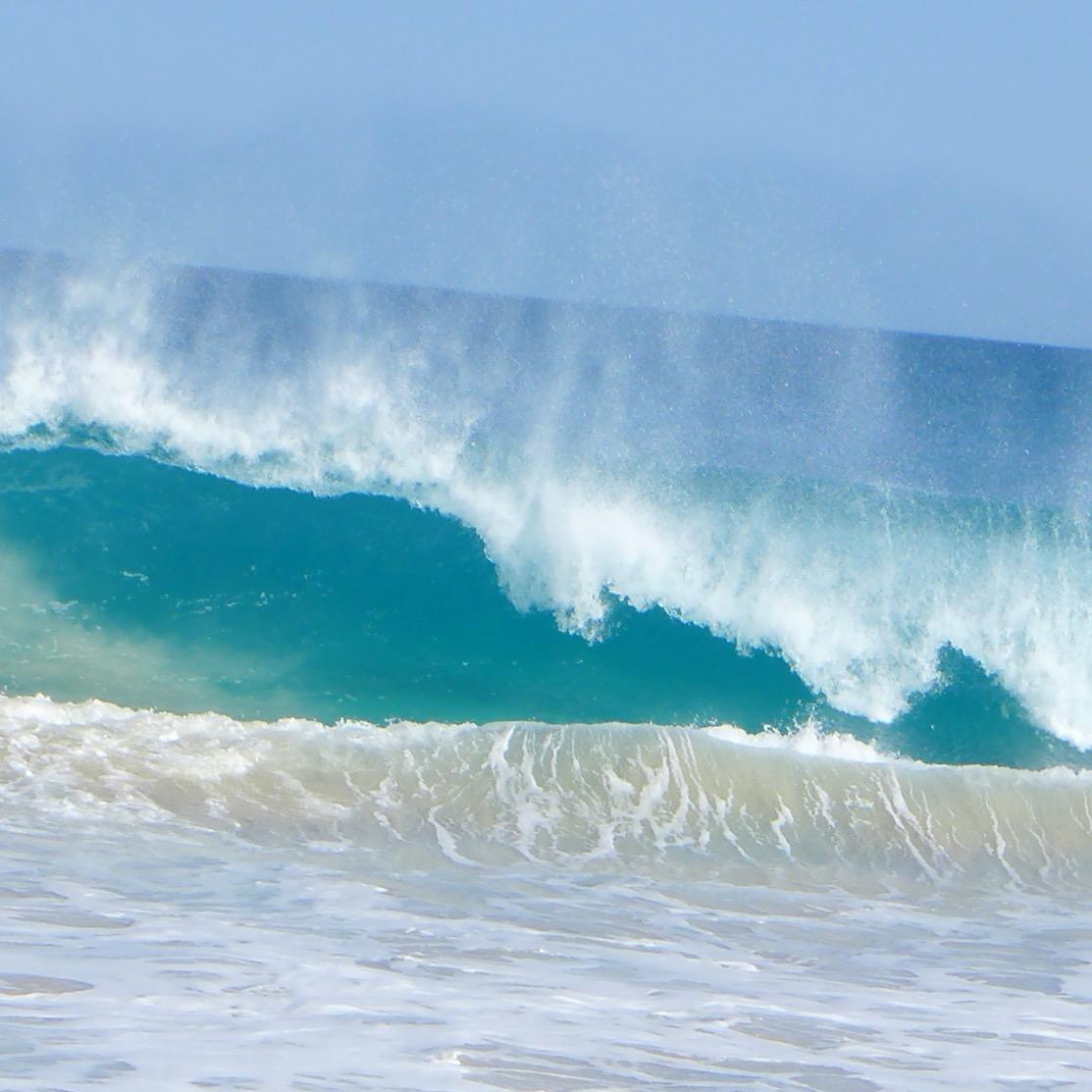 OnlygamTT's profile picture. 