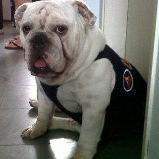 karenpolvora's profile picture. 