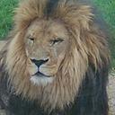 Grace Castle - @913be4df8e0e491 - Twitter