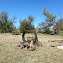 Patsy Ivey - @patsyivey - Twitter