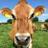 tickety_moo's profile image