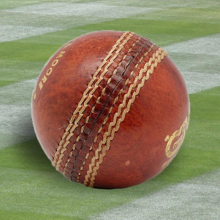 Cricket News Gone Wrongun