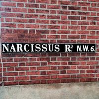 Narcissus Road (@narcissusroad) 's Twitter Profile