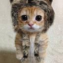 ? (@03097777) Twitter