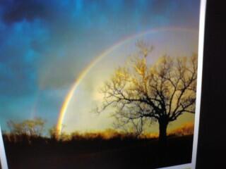 jc123927's profile picture. 