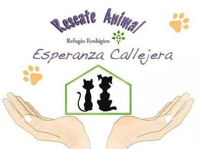 Por un Compromiso
Animal-Social impulsando una visión animal.