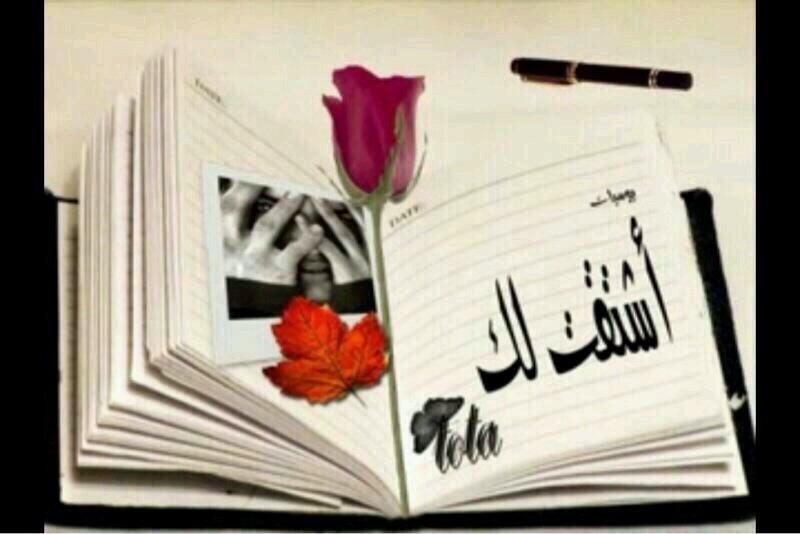 ‏‏‏‏‏‏صامت اليالي