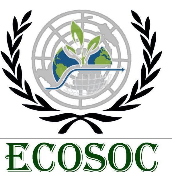 TIMEMUN_ecosoc5's profile picture. 