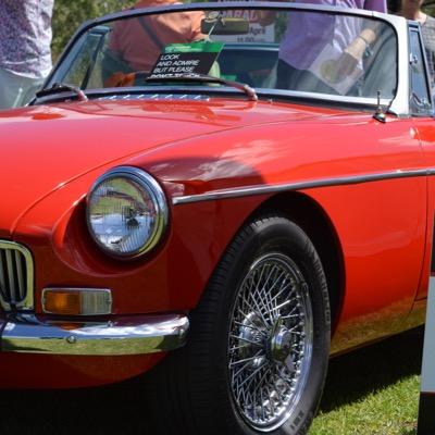 _tigertim's profile picture. 