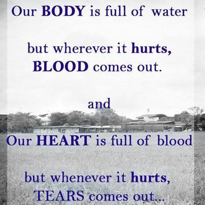 IlovALLAH's profile picture. I'm #Ethiopian | #muslima | #Engineer | women Right activists, demstach yesema victory for #Ethiopian Muslim 

 Follow! I'll follow back!