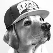 18 y/o COD player. No current team.