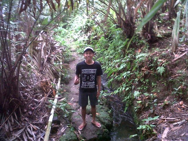 You'll Never Walk alone