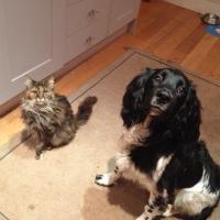 Mrs Shrimpy (@mrsshrimpy) 's Twitter Profile