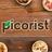 Picorist's profile image