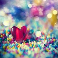 نبض ♡←أنثى  (@nabz_ontha) 's Twitter Profile Photo