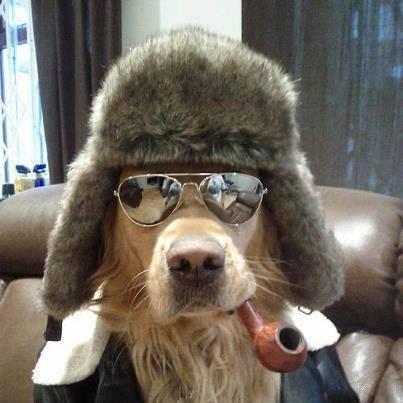 Lieschije's profile picture. Züri Chreis 9