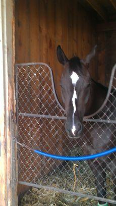 pgiaco21's profile picture. 