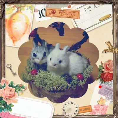 botさん用*  浮気性です。でもみんな好きなんです！
レイリーさんと結婚したい。