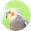 sim_on - @sim_on_san - Twitter