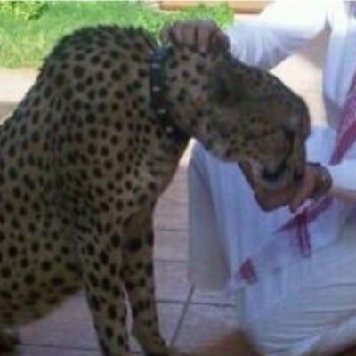 لاجلك جبـــرت الحـــرف لمعانــق الحـــرف