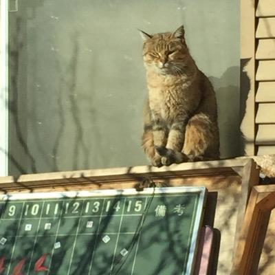 kurimto's profile picture. 