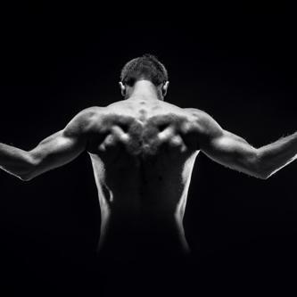 bodybuilder, photographer, writer