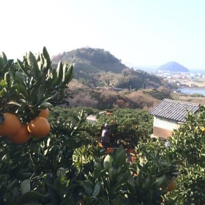 将来くるであろうものを先読みできることが数々の富豪を生み出した。設備投資をする企業のように、先を見ていけると思ったものに確信をもって投資した。日々向上