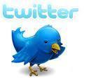 newcomer in internet marketer