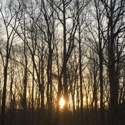 jwat1213's profile picture. 