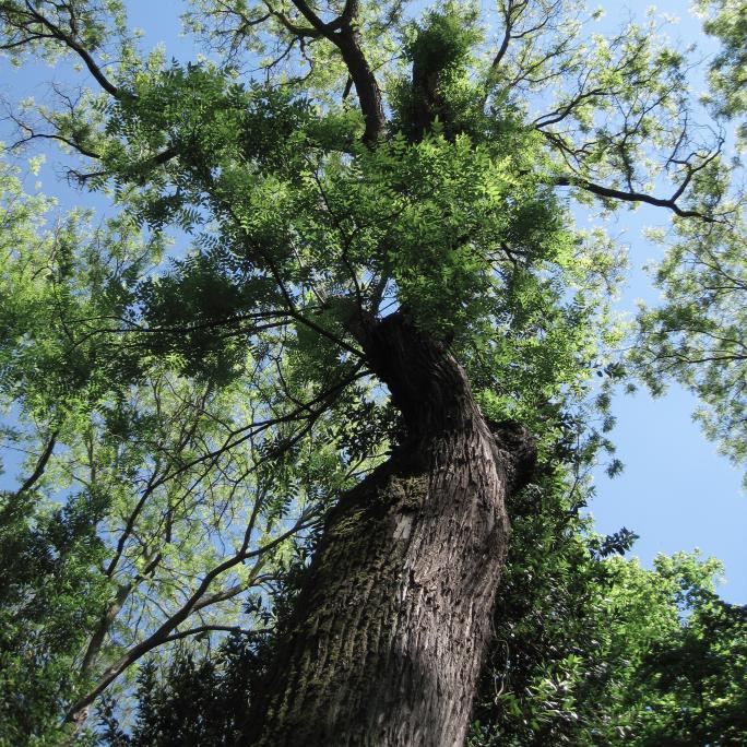 Everything environmental in the run up to the 2015 UK General Election | Run by MA Science Journalism students @CityUniLondon | Got a story? Tweet us!