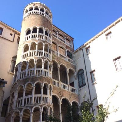 RiN_Sophia's profile picture. Q's 8期