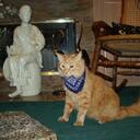 Judith Winston - @jrws333 - Twitter