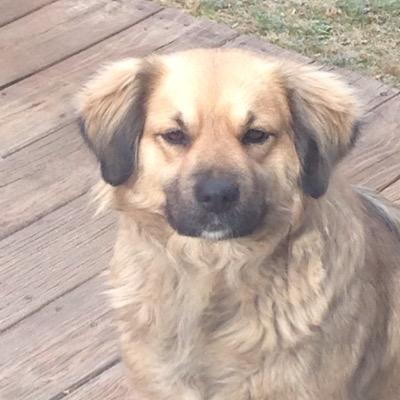 ChildersKamryn's profile picture. I am a horse lover iggy lover and the walking dead lover but a nicki minaj hater✌️