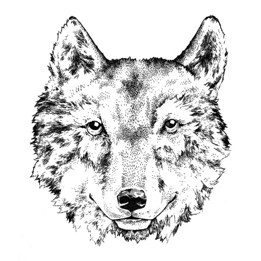 Phillipjjones's profile picture. Hello // Designer & Illustrator // // Designs and drawings printed on paper. Oxford