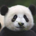 Yuqian Zhang - @Maki_Babygirl - Twitter