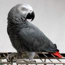 Coretta Thomas - @CorettaThomas01 - Twitter