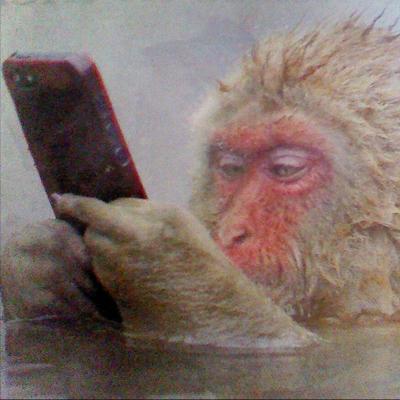 raggidman's profile image