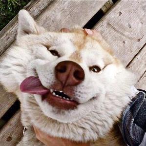 SergeySamara17's profile picture. 