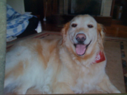 0430momoko's profile picture. 