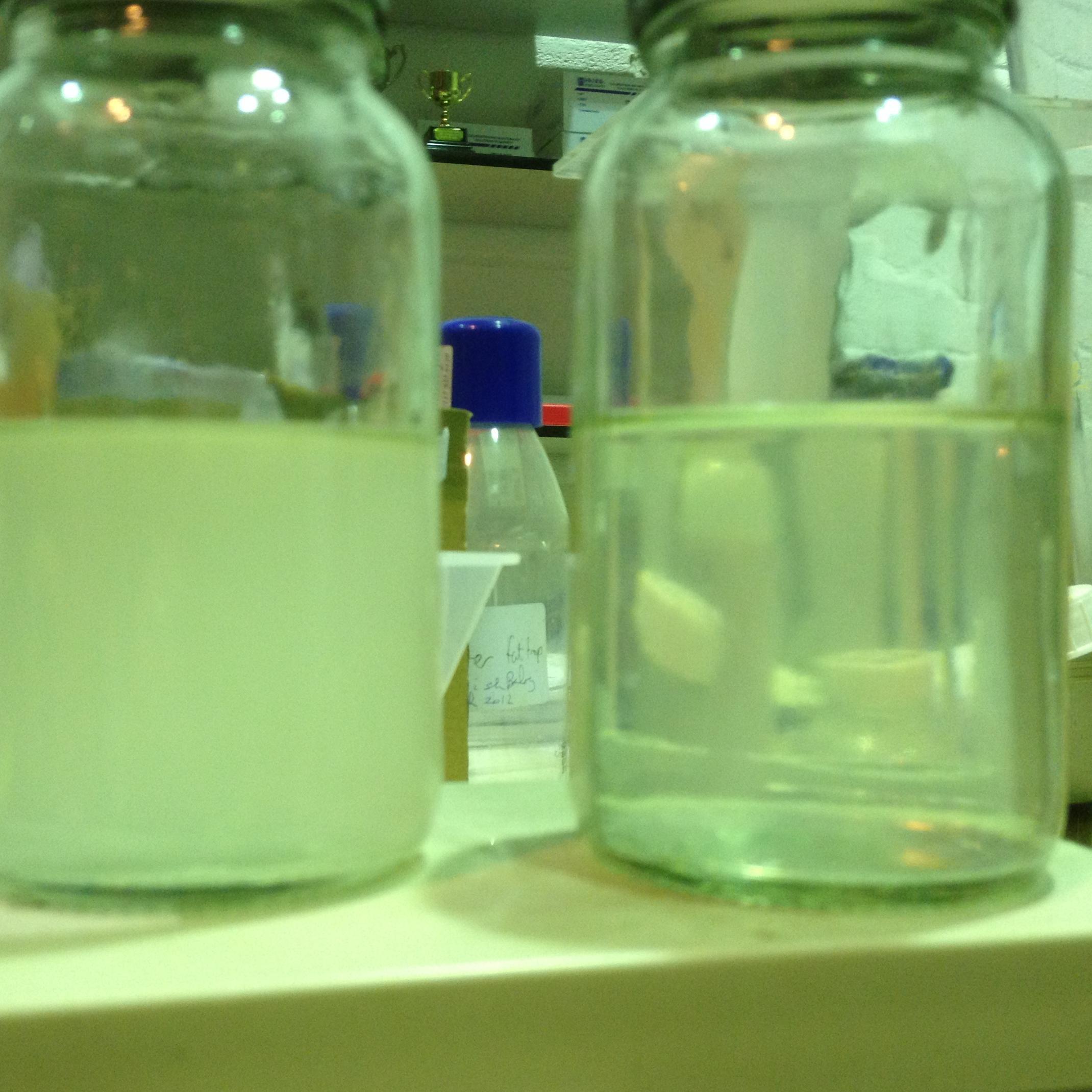 Industrial Effluent Treatment, Chemical Suppliers, Problem Solvers, Compliance